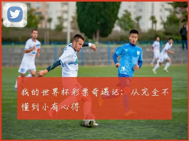 我的世界杯彩票奇遇记：从完全不懂到小有心得