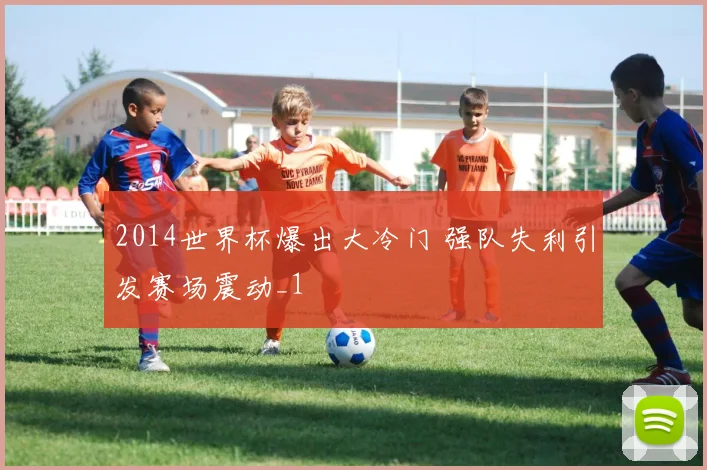 2014世界杯爆出大冷门 强队失利引发赛场震动_1