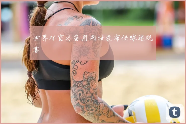 世界杯官方备用网址发布供球迷观赛