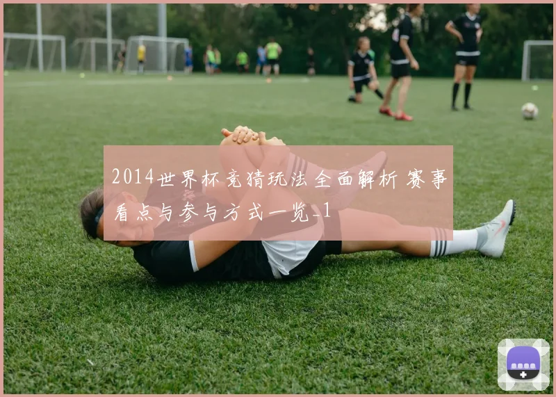 2014世界杯竞猜玩法全面解析 赛事看点与参与方式一览_1