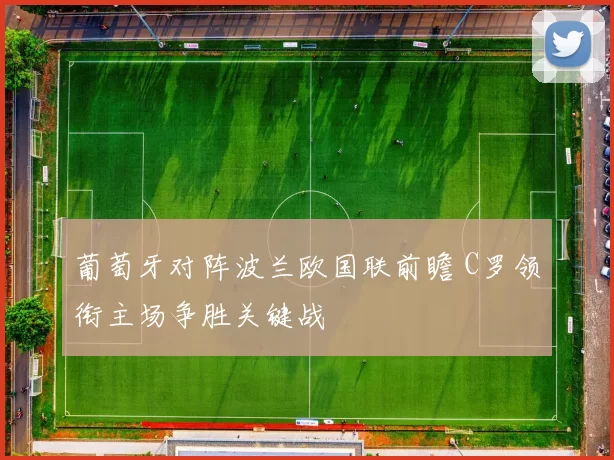 葡萄牙对阵波兰欧国联前瞻 C罗领衔主场争胜关键战