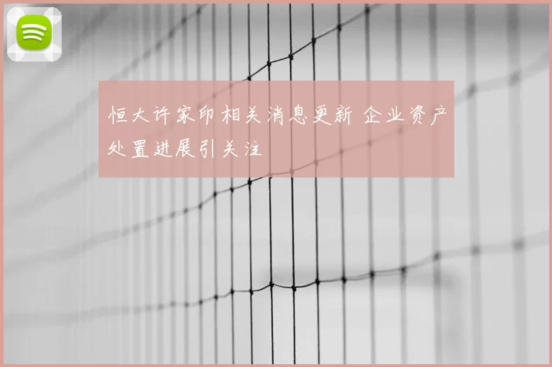 恒大许家印相关消息更新 企业资产处置进展引关注