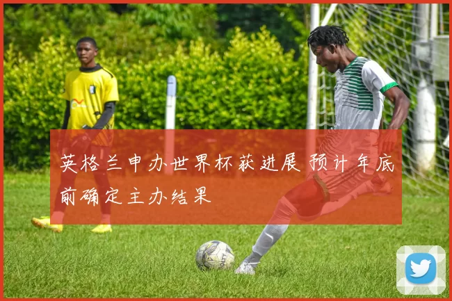 英格兰申办世界杯获进展 预计年底前确定主办结果