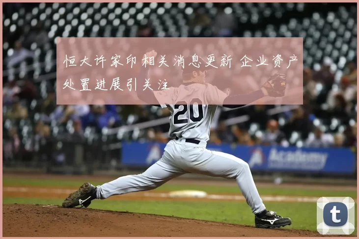 恒大许家印相关消息更新 企业资产处置进展引关注