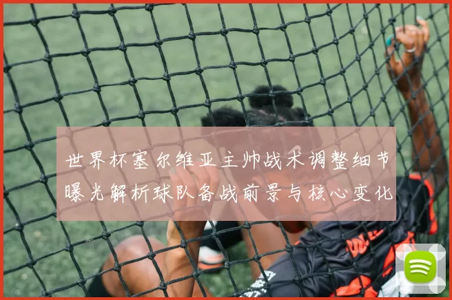 世界杯塞尔维亚主帅战术调整细节曝光解析球队备战前景与核心变化