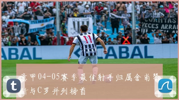 意甲04-05赛季最佳射手归属舍甫琴科与C罗并列榜首